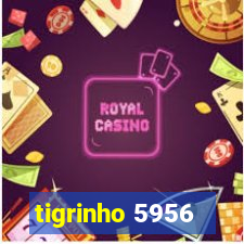 tigrinho 5956